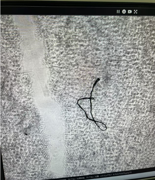 image-20250323090256248