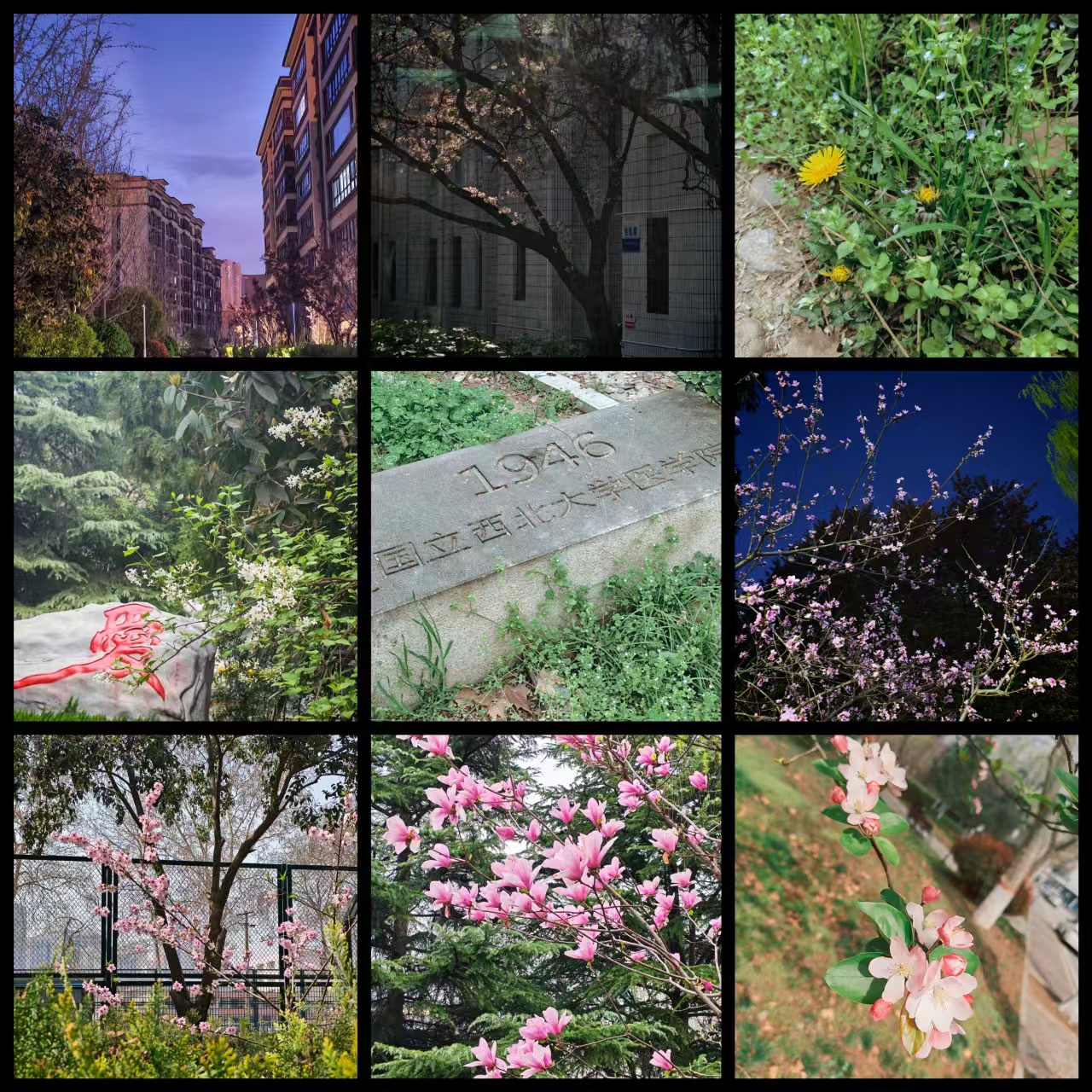 95e2e7da35620deb119d41ba79f7f63b